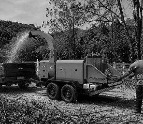 Profissional de arborização
